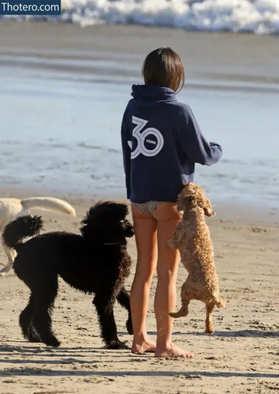 Jordana Brewster - and poodles on the beach with a woman in a blue sweatshirt