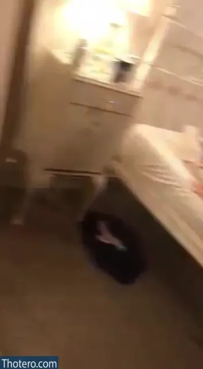 Alexlew19 - there is a blurry photo of a bed in a room