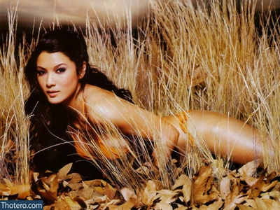 Kelly Hu nude 4311886