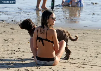 Jordana Brewster - woman in bikini sitting on beach with dog in front of her